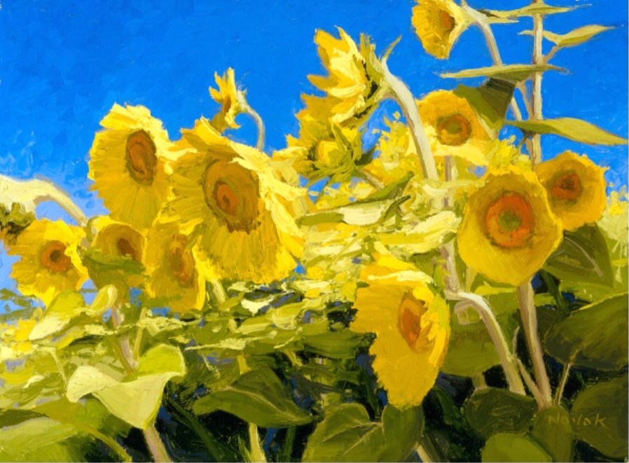 Shirley Novak Blue Sky Sunshine